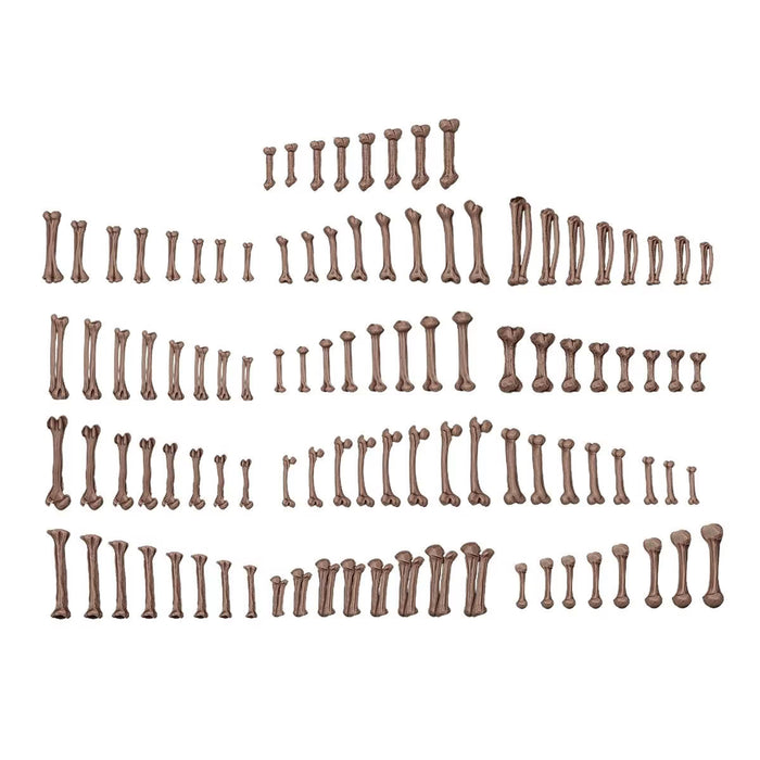AK Basing Bits: Human Bones