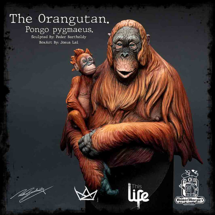 Robot Rocket - The Orangutan