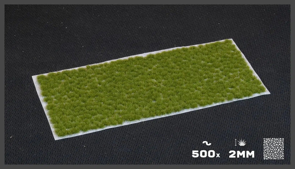 Gamers Grass - Dry Green (2mm) Tiny Tufts