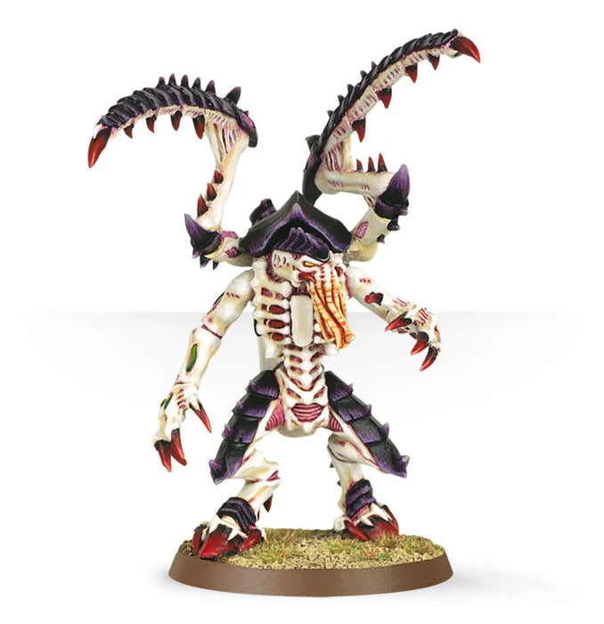 Lictor [Mail Order Only]